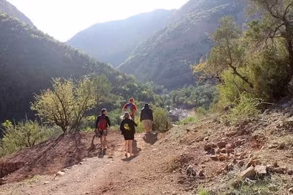 Oasis